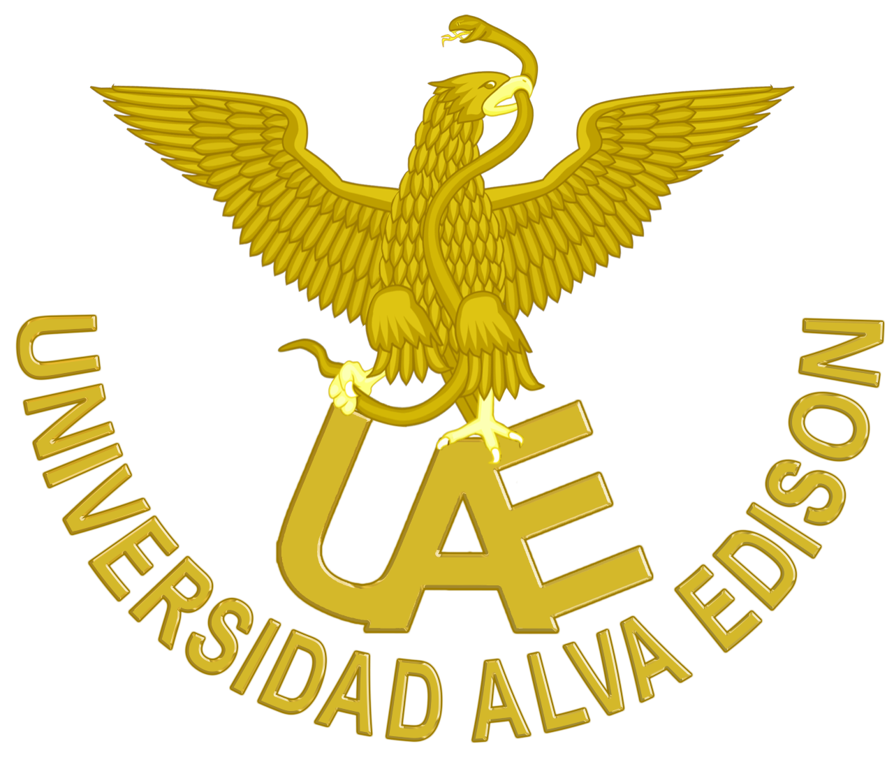 Universidad